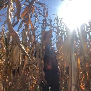 Meet your Posher, Matti